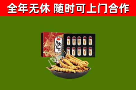 天津回收冬虫夏草价格